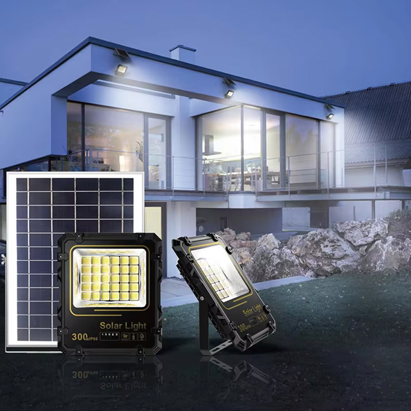 100W Solar Floodlight